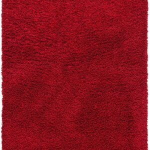 Shaggy Carpet for living room