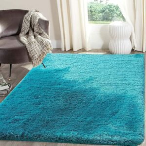 Shaggy Carpet for living room