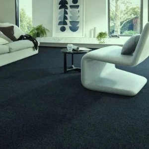 Silky Wall to Wall Carpet Silky wall to wall carpet texture Soft silky carpet flooring Silky carpet for home interiors