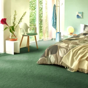 Shine Wall to Wall Carpet